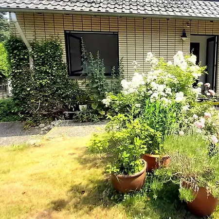 Apartment Ferienwohnung Lentz *
