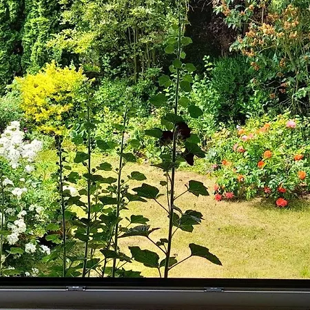 Ferienwohnung Lentz *